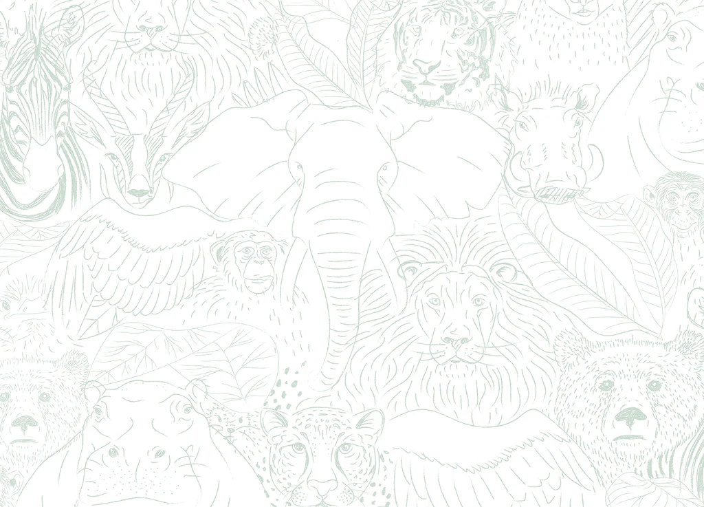 Animal Kingdom Wallpaper - Image 6