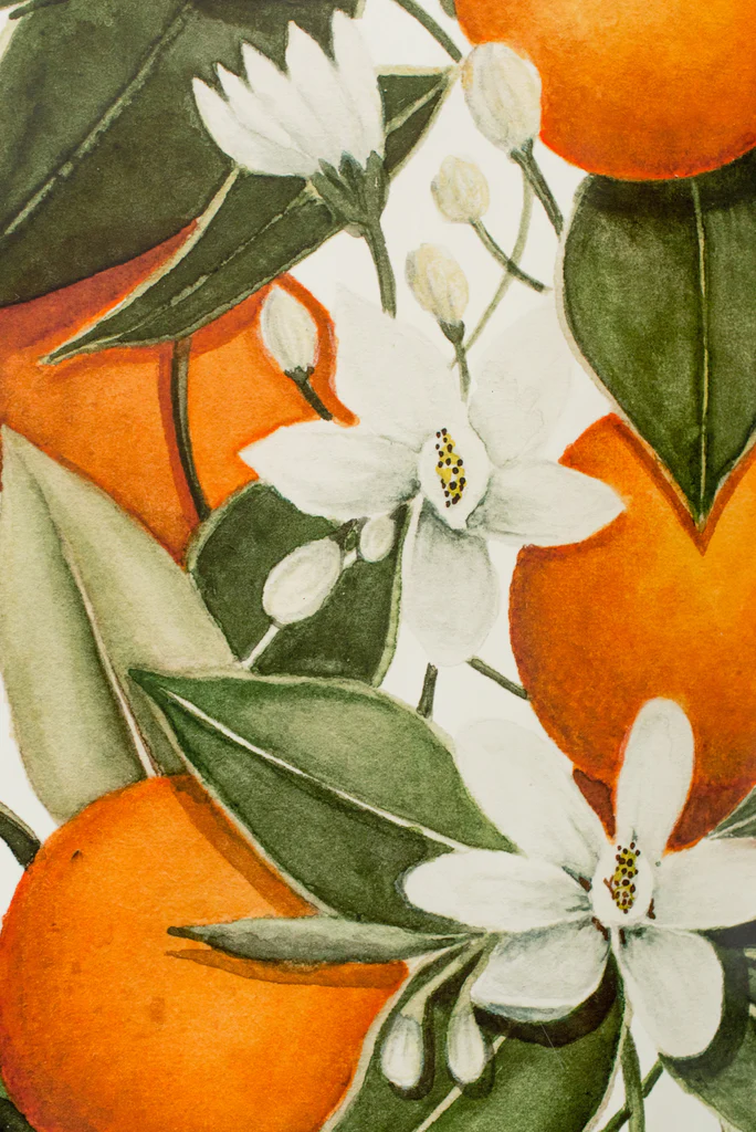 Blooming Citrus Wallpaper - Image 4