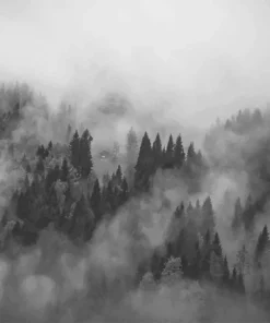 Alternative view of Foggy Hills Mural