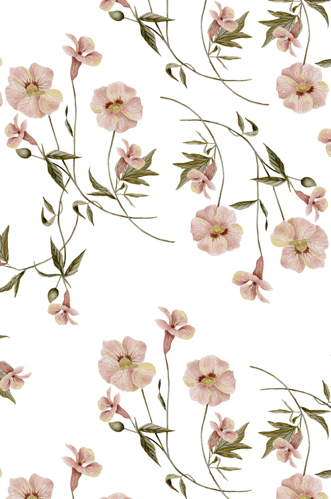 Primrose Wallpaper - Image 4